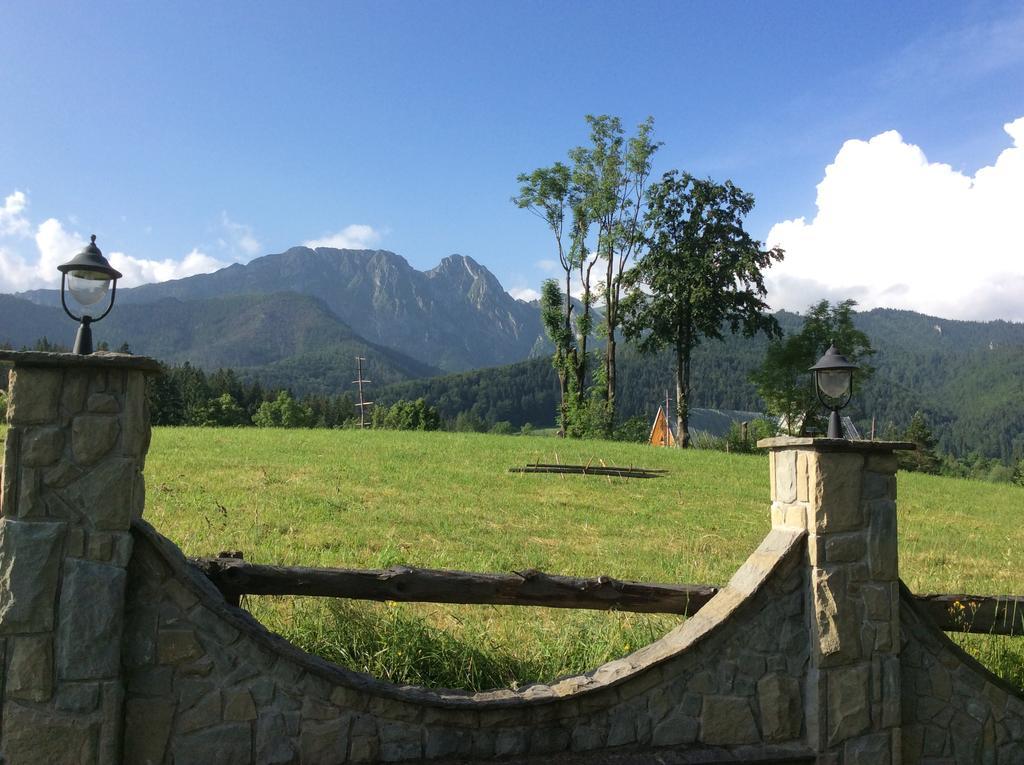 Apolonia Willa Zakopane Zewnętrze zdjęcie