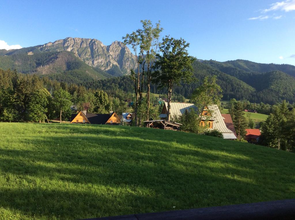 Apolonia Willa Zakopane Zewnętrze zdjęcie